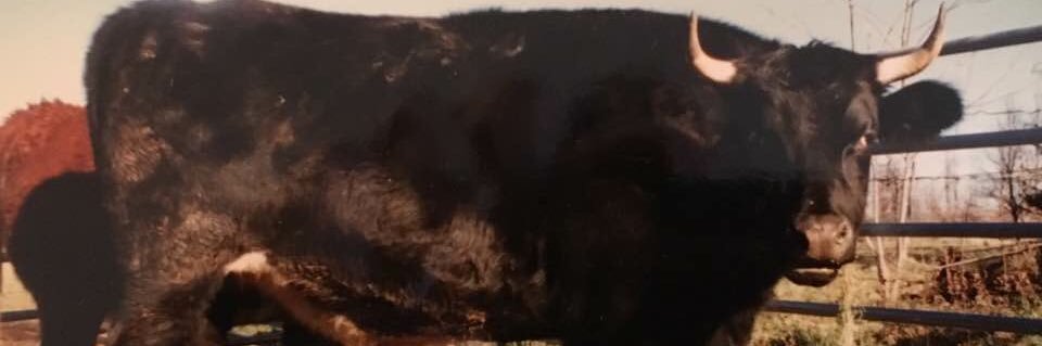 Playmor2's profile banner image