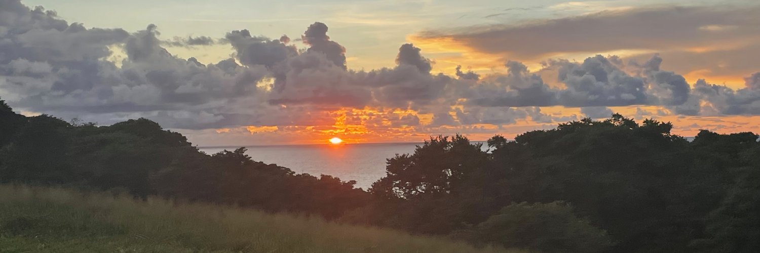 Lisa Pelzek-Braun banner