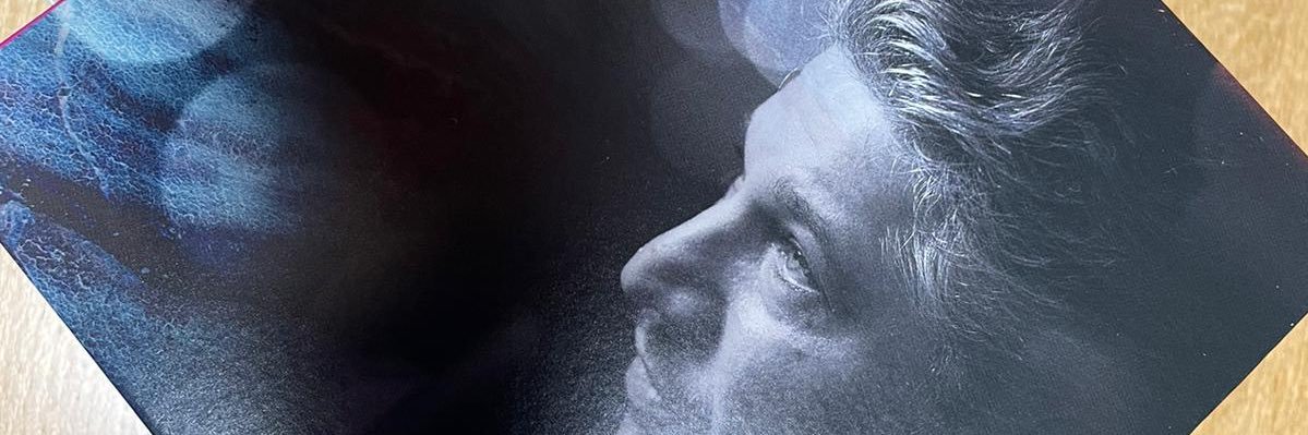 Shahin Novrasli banner