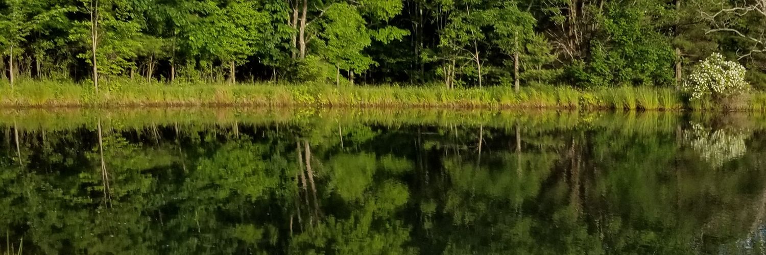 JenJDunbar's profile banner image