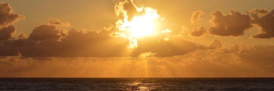 ぱんだ🐼@遅咲きの芸人 banner