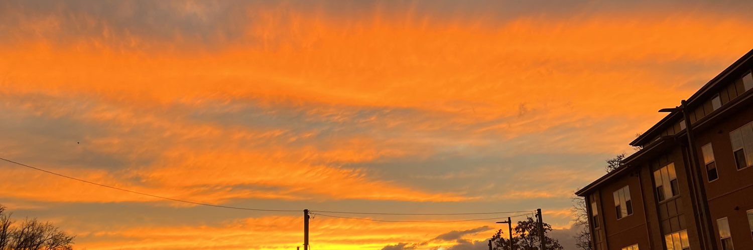 Sedona Bassler banner