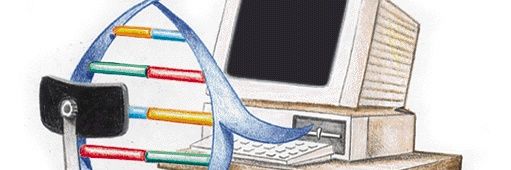 Nuno Rodrigues banner