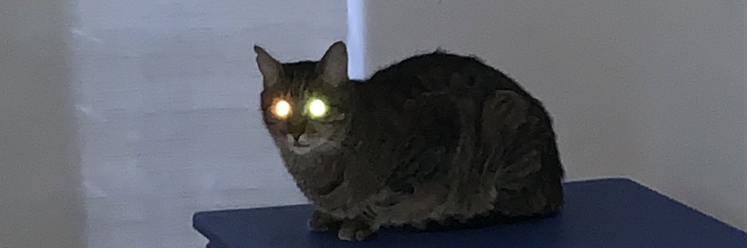 melissa fresita banner