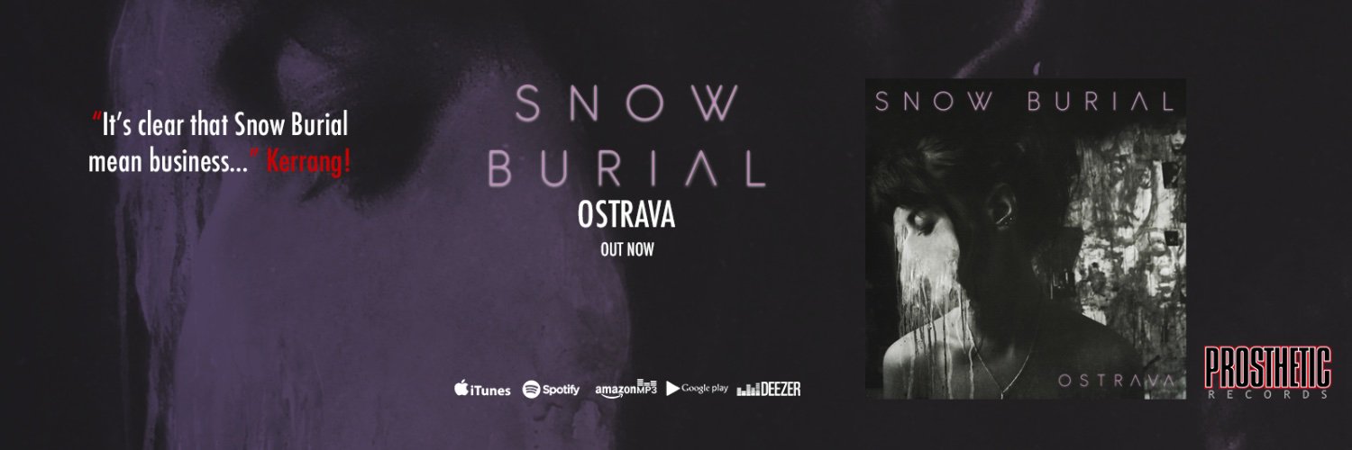 snowburial's profile banner image