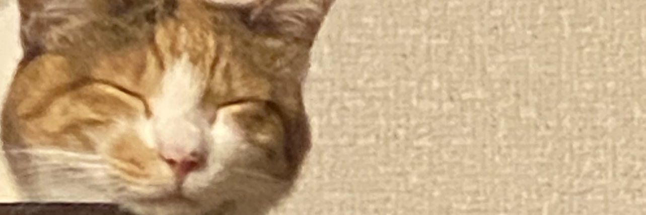 yu_he_JP's profile banner image