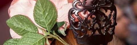 AraceliPan's profile banner image