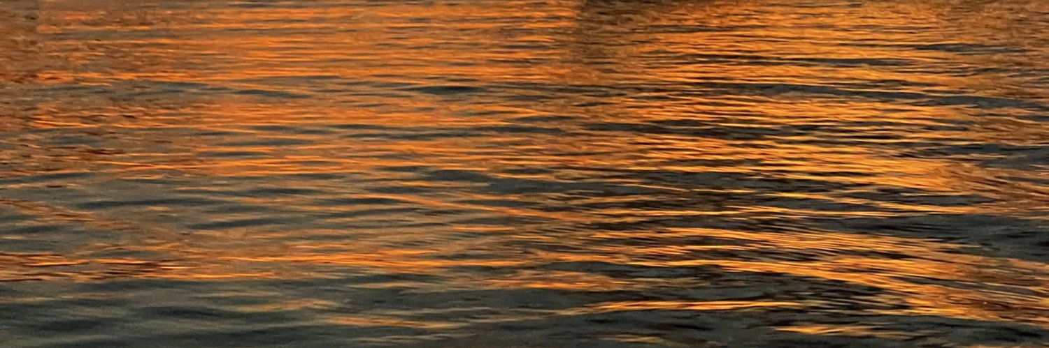 dvb1121's profile banner image