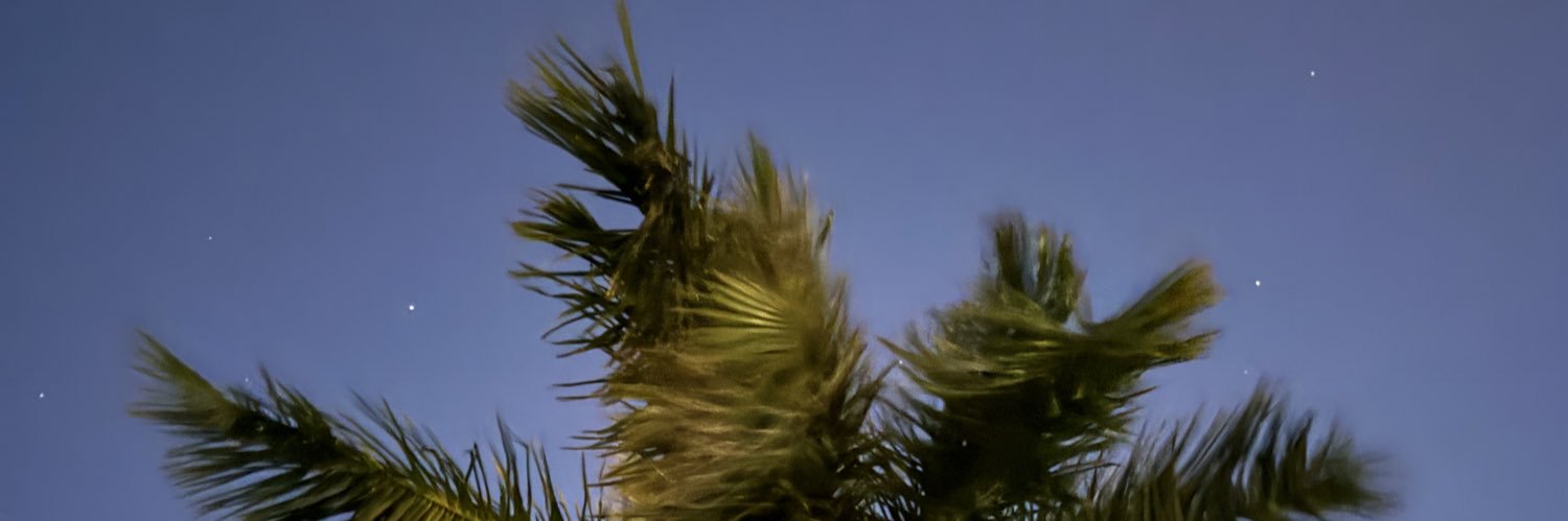 SeashellsLemons's profile banner image