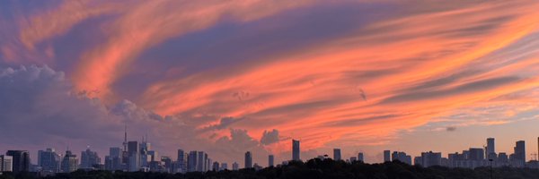 alixrezax Profile Banner