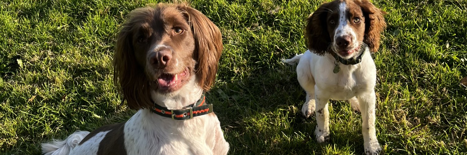 Samantha Turl 💙 banner