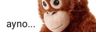 Ximena banner