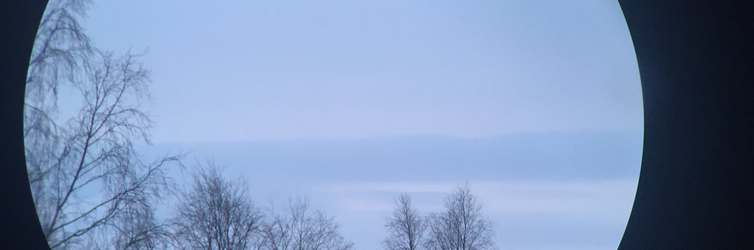 StellaLewisπ² banner