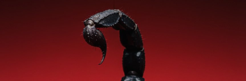 edwardyanez's profile banner image