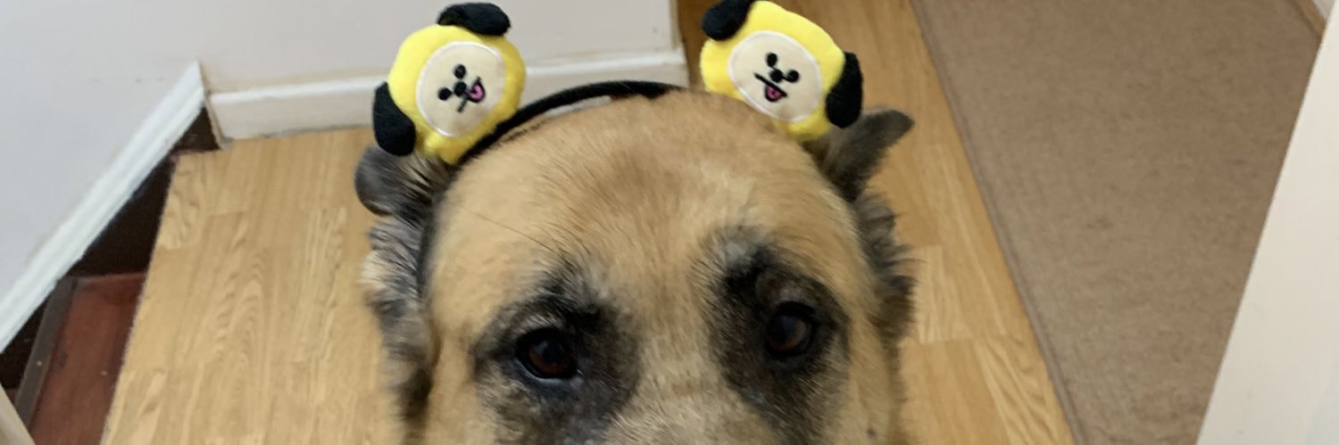 ina_n7's profile banner image