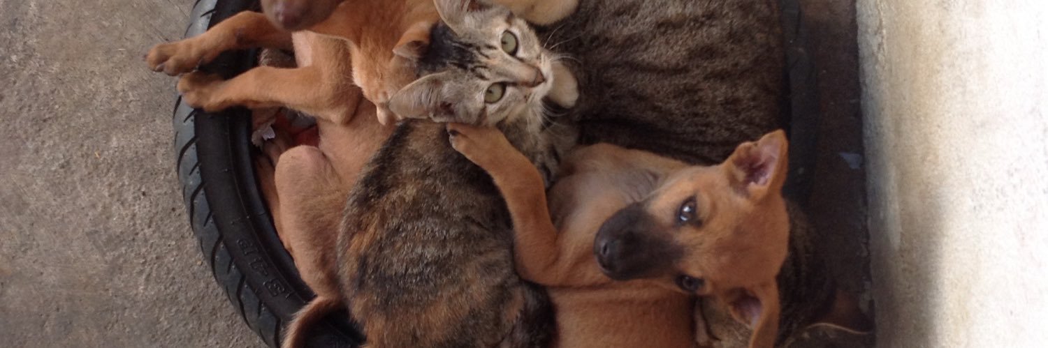 ควยเล็กเซ็กจัด banner