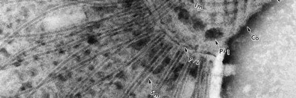 3DPrintFuture Profile Banner