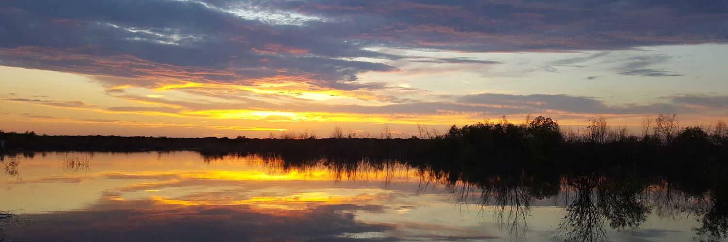 sierrascott8's profile banner image
