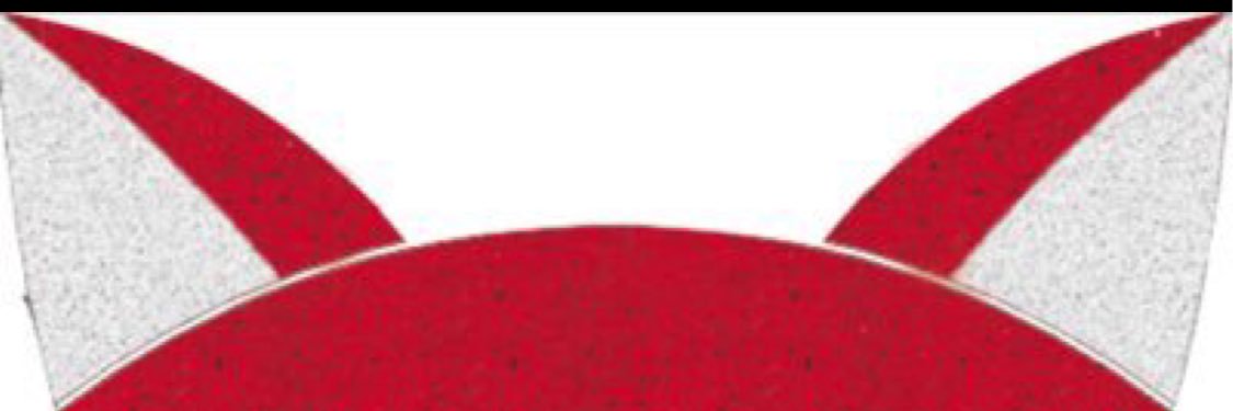 FCTelethon's profile banner image