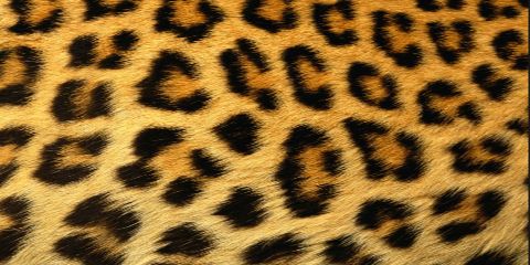 112214AC's profile banner image