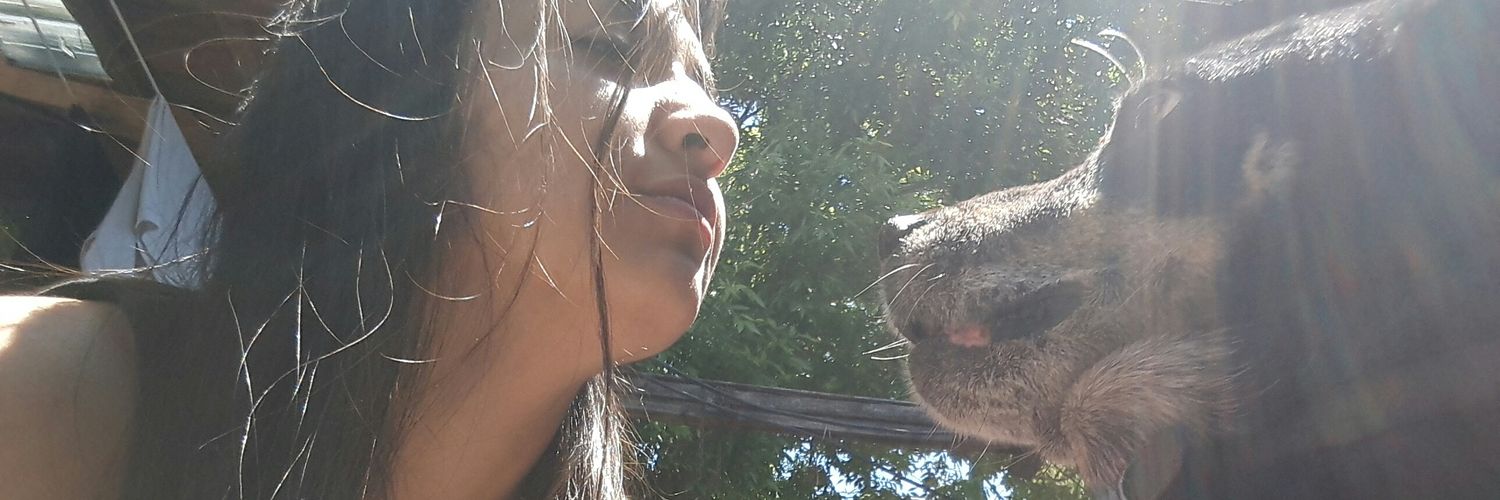 LisaAbortera's profile banner image