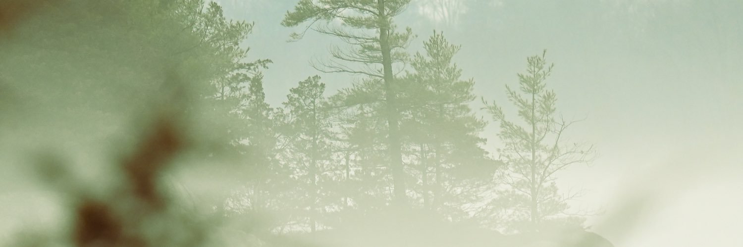 Teag_42's profile banner image