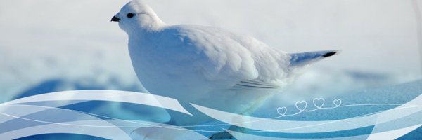GNWT_ECC Profile Banner