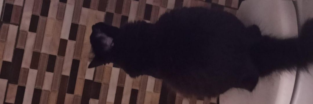 Mr0NDR's profile banner image