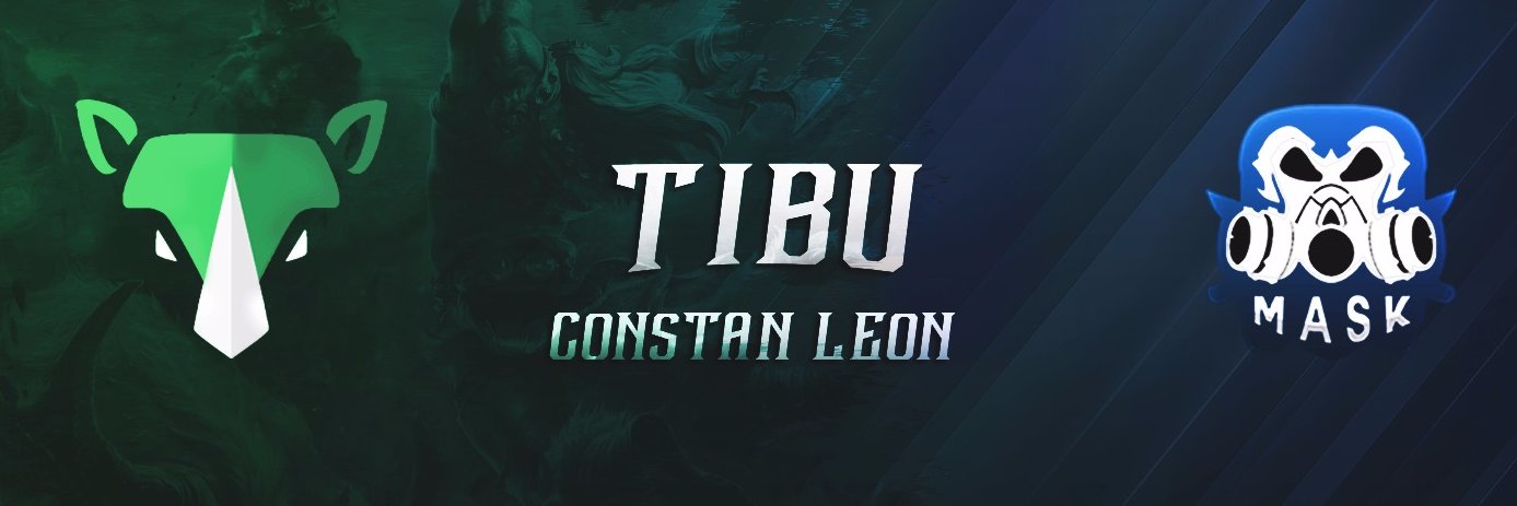 WildTibu's profile banner image