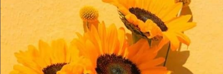 201426Lety's profile banner image