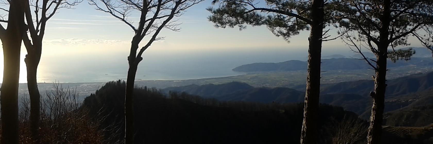 cinziachiappini's profile banner image