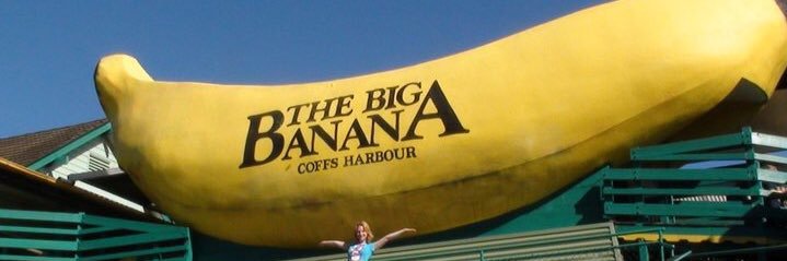 Petra Sandahl banner