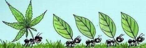 Ma_Vandenberg's profile banner image