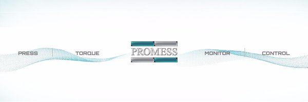 PromessInc Profile Banner