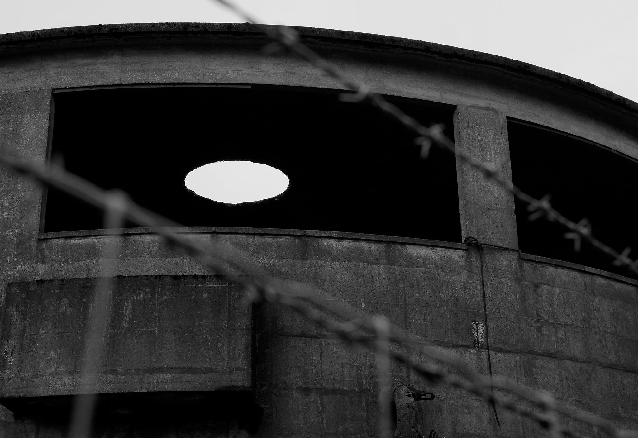 🏴󠁧󠁢󠁷󠁬󠁳󠁿 jools 🇺🇦 banner