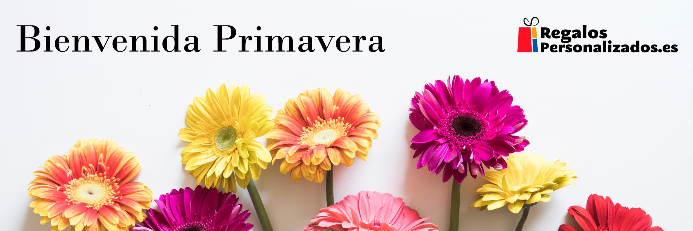 RPersonaliza2's profile banner image