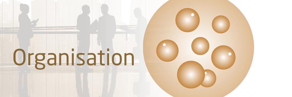 Blumenthal Roger banner