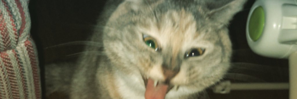 Conchúr MacGafraidh banner