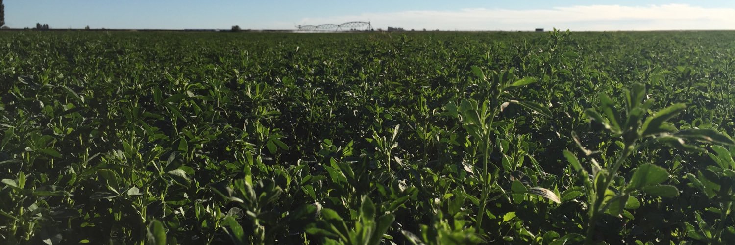 WA State Hay Growers banner