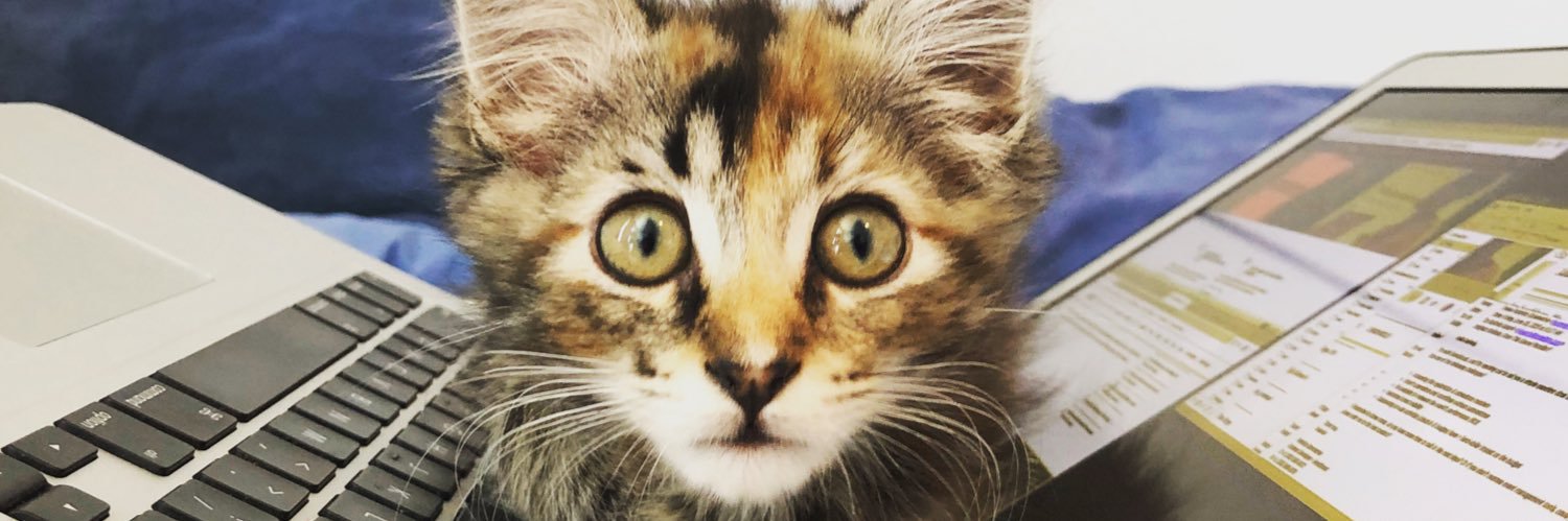 austin (e/accordion 🪗) banner