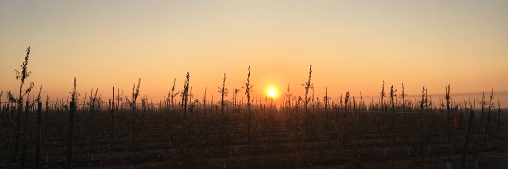 Codinaxevi's profile banner image