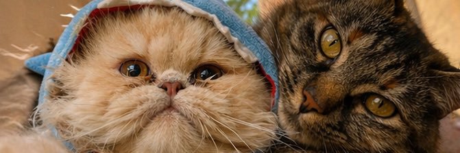 oohl4's profile banner image