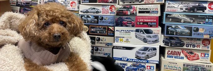 GTSR31's profile banner image