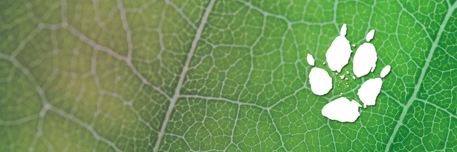 APSFemwork's profile banner image