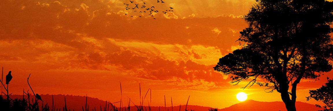 vahid__69's profile banner image