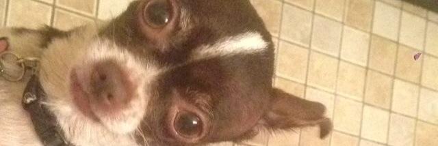 EdgarAllanPoo_'s profile banner image
