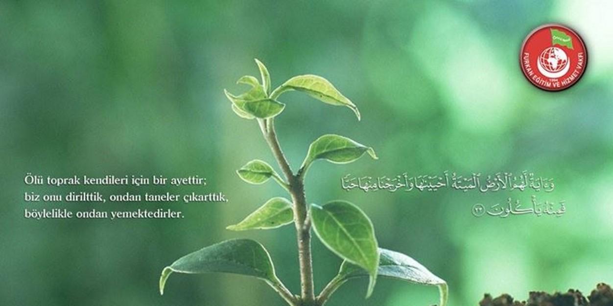 fatma07365's profile banner image