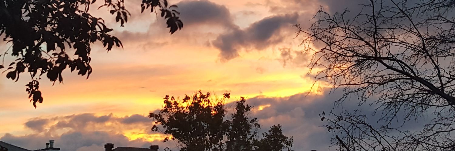 darlene_oconnor's profile banner image