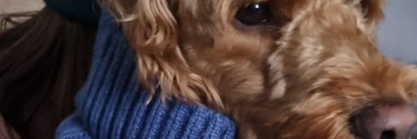 jayne_guest Profile Banner