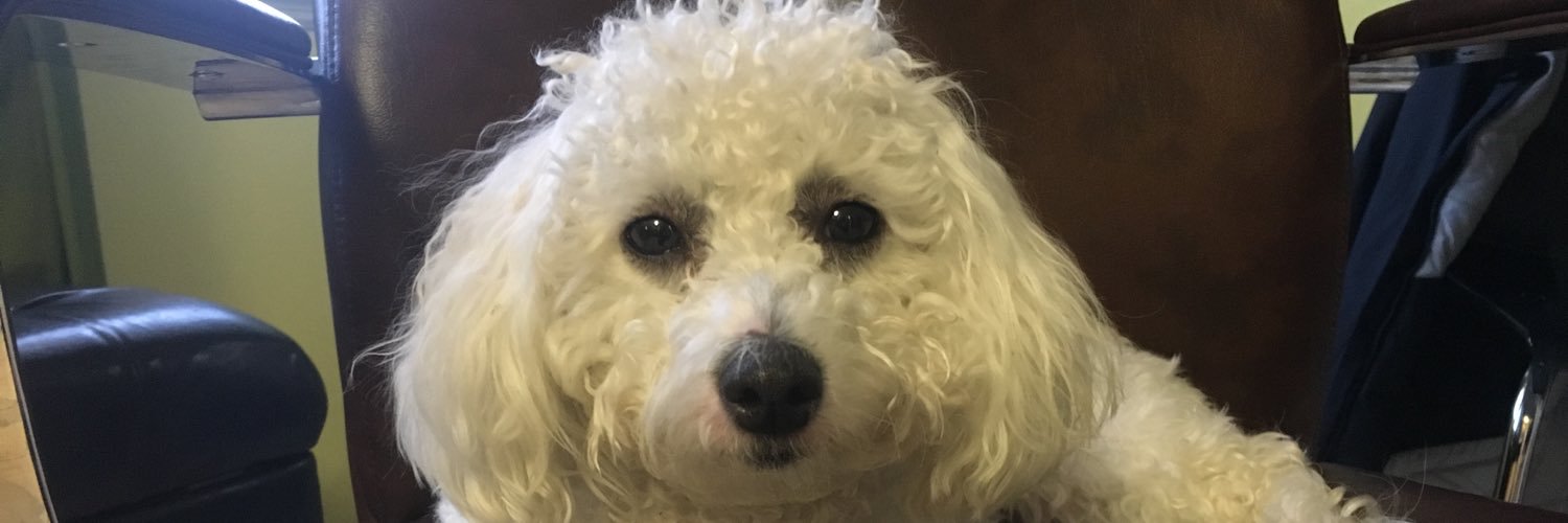 bobbiespring's profile banner image
